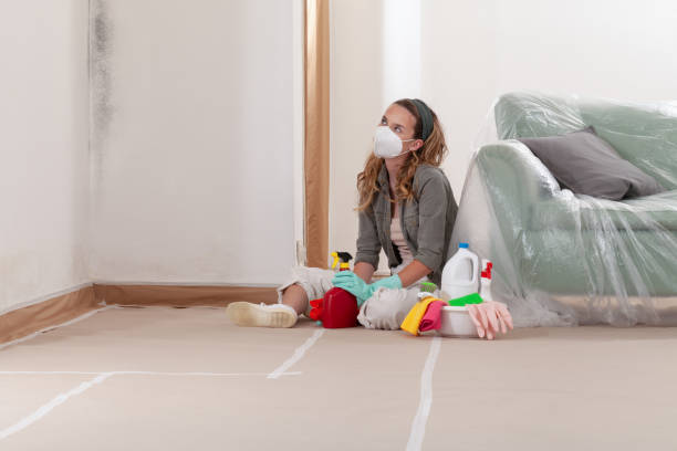 Reliable Mold Remediation contractor in Reisterstown, MD by Cheap Mold Removal